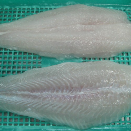 Frozen pangasius fillets